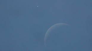 Occultation of Venus by Malcolm Porter